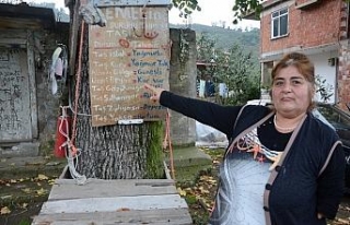 Temel’in hava durumu tahmin taşı gülümsetiyor