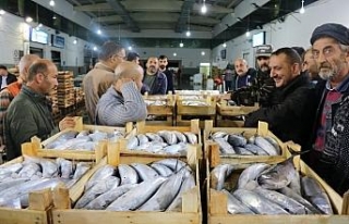 Türkiye’nin palamudu Karadeniz’den