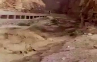 Ürdün’de sel felaketi: 14 öğrenci öldü