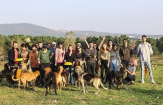 SÜRGÜN KÖPEKLERİN SESİ OLMAK İÇİN BİR KEZ...