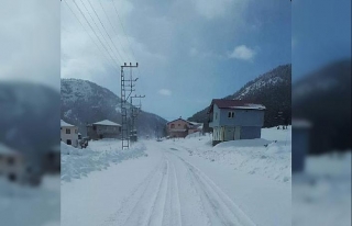 Adana'nın yüksekleri beyaza büründü