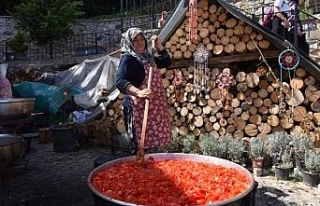 Kooperatiflerin hayatlarını değiştirdiği kadınlar