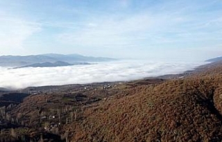 Tokat'ın üzerini sis bulutu kapladı