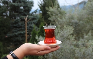 'Türk çay kültürü', UNESCO listesinde