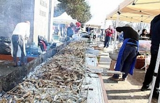Düzce'deki festivalde 4 ton hamsi dağıtıldı
