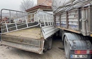 Park halindeyken freni boşalan TIR, taksi durağına...