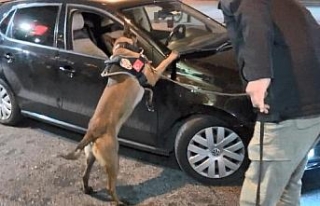 İstanbul'da helikopter ve narkotik köpeğinin...
