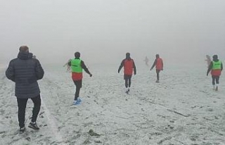 Mardin’de kar ve sis etkili oldu