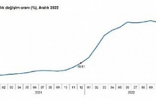 TÜİK: Tarımsal girdi fiyat endeksi aralıkta arttı