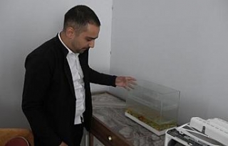 44 gün sonra girdiği hasarlı evinde balıklarını...