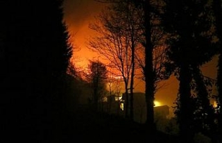 Trabzon'da geniş alana yayılan örtü yangını...