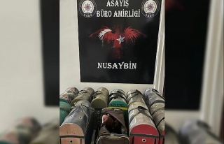 Nusaybin'de horoz dövüştüren 38 kişiye 154...