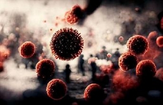 ‘Sessiz pandemi’ Lyme: 350 hastalığı taklit...