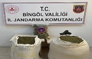 Bingöl’de uyuşturucu operasyonunda 1 tutuklama