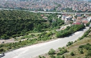 Freni tutmayan TIR, ağaca çarptı; dorsedeki 2 iş...