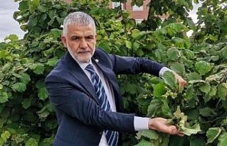 İki aydır yağışların etkili olduğu Karadeniz’de...