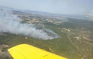 İzmir’de orman yangını