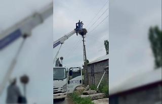 Açlıktan bitkin düşen yavru leylek, vinçle kurtarıldı