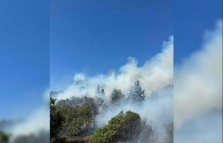 Balıkesir'deki yangında 5 hektar alan zarar...