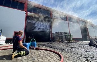 Diyarbakır'da gıda imalathanesinde yangın