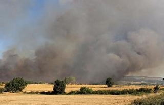 Edirne’de 2 bin dönüm buğday ekili alan yandı