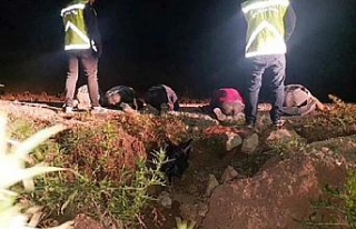 Kaçak göçmenler uyuşturucuyla yakalandı