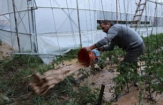 Oltu'da sağanak yağmur, ekili arazi ve seralara...