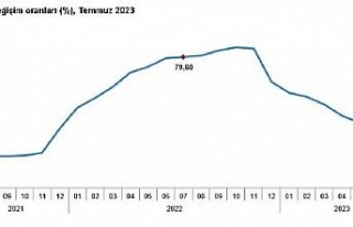 TÜİK, temmuz ayı enflasyon oranlarını açıkladı