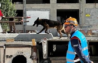 Hassas burunlara zorlu sınavla sertifika