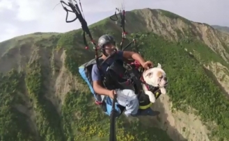 Tekirdağ semalarında bir köpek