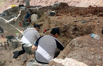 Çankırı'da, bu yıl 8,5 milyon yıllık 100 fosil bulundu