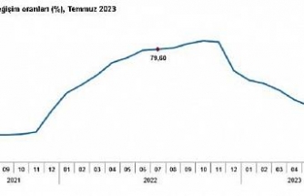 TÜİK, temmuz ayı enflasyon oranlarını açıkladı