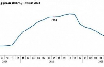 TÜİK, temmuz ayı enflasyon oranlarını açıkladı