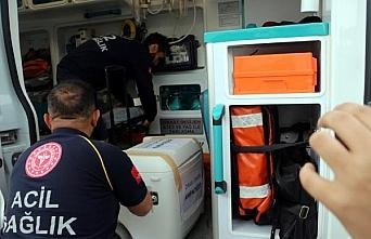 Beyin ölümü gerçekleşen hastanın organları 5 kişiye umut oldu