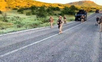 Diyarbakır'da 7 milyon 543 bin kök kenevir ve skunk ele geçirildi: 8 gözaltı