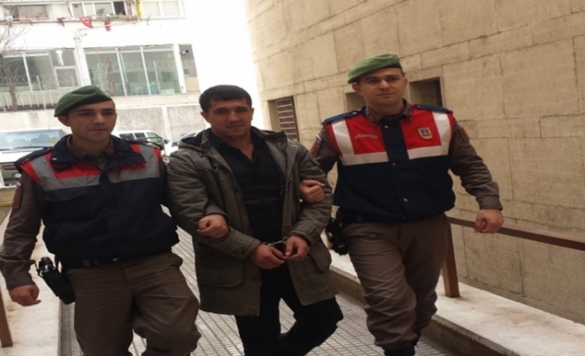 Devriye gezen jandarma PKK üyesini yakaladı