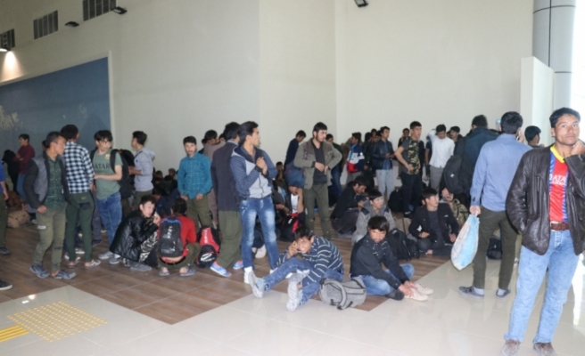 227 kaçak göçmen sınır dışı edildi