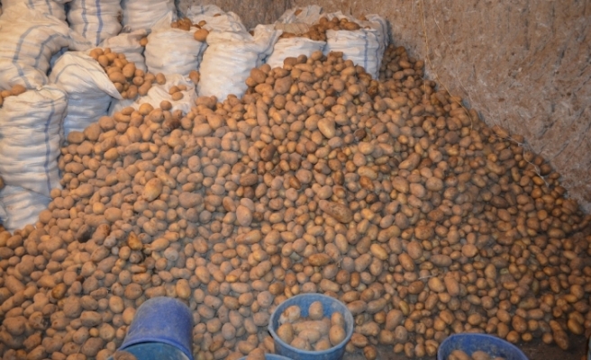 En yüksek yeterlilik derecesi tahıllar grubunda patateste