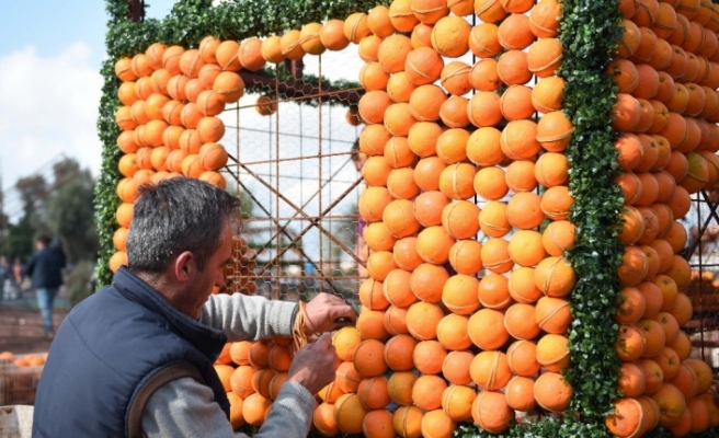 Kepez’de ‘Portakal Çiçeği Festivali’