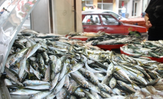 Türkiye’de balık tüketimi 7,6 kg