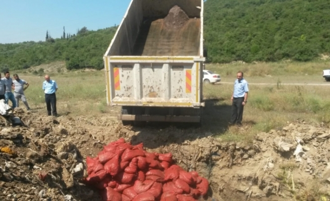 4 ton midye ele geçirildi: 20 gözaltı