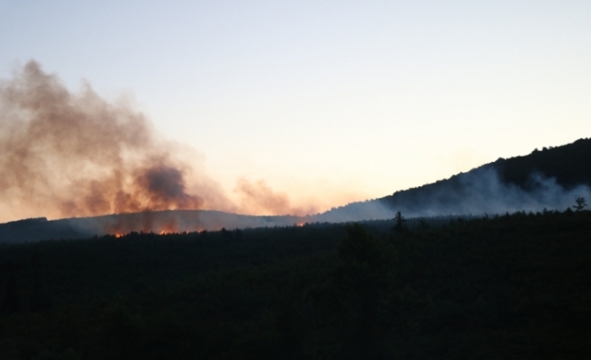 Aydos Ormanları’nda korkutan yangın