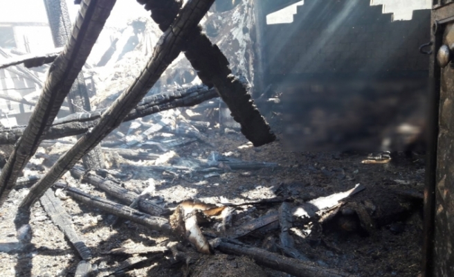 Siirt’te yangın: 110 koyun telef oldu