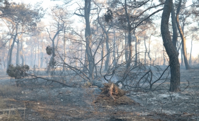Çanakkale’deki orman yangını söndürüldü