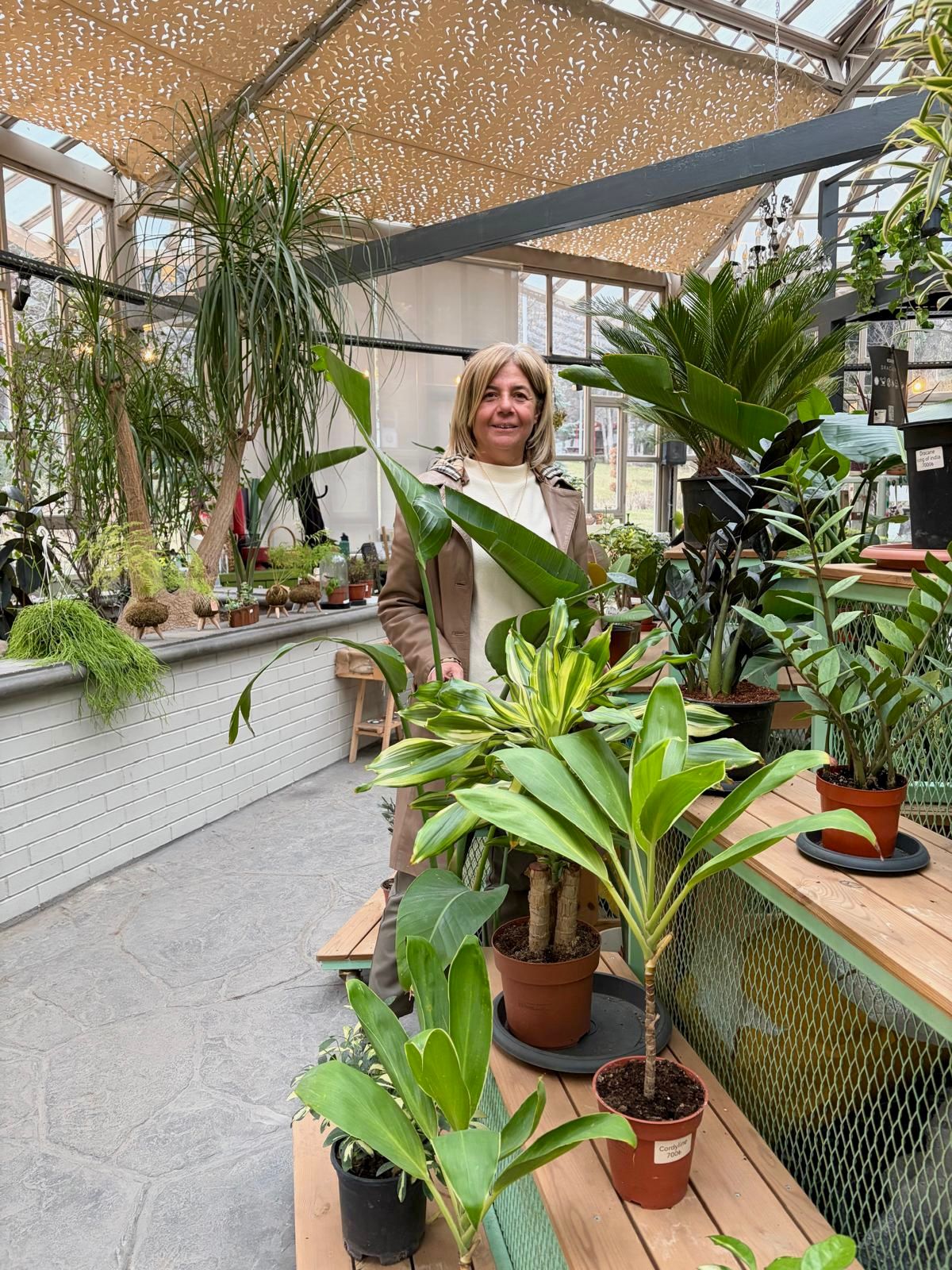 Birsel GONCA yazar fotoğrafı