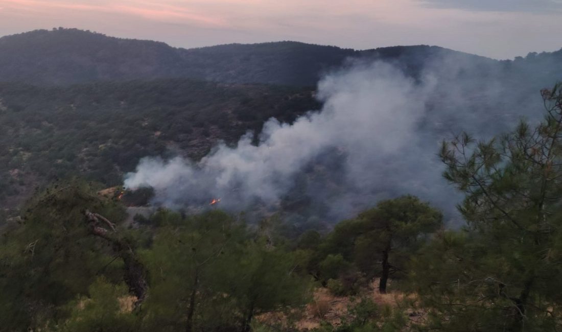 Gaziantep’te orman yangını; 4 dönüm alan zarar gördü Kadir ÇELİK/İSLAHİYE, (Gaziantep), – GAZİANTEP’in İslahiye ilçesinde çıkan orman yangını,
