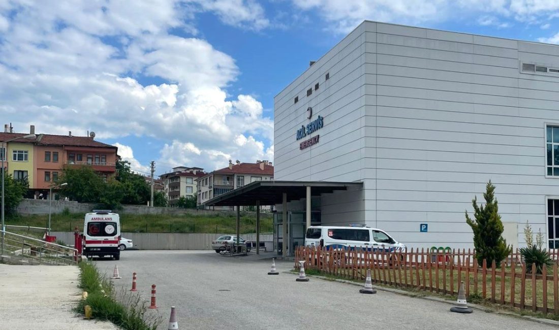 Akif DOĞAN/TAŞKÖPRÜ (Kastamonu), – KASTAMONU’nun Taşköprü ilçesinde arı sokması sonucu