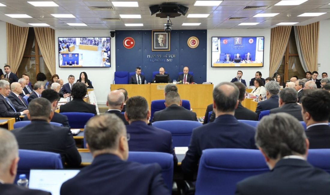 ‘HAKLI KALMANIN MÜCADELESİ İÇERİSİNDEYİZ’ Cumhurbaşkanı Yardımcısı Cevdet Yılmaz, komisyonda milletvekillerinin