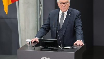 ÇİN, – ALMANYA Cumhurbaşkanı Frank Walter Steinmeier, Çin Devlet Başkanı