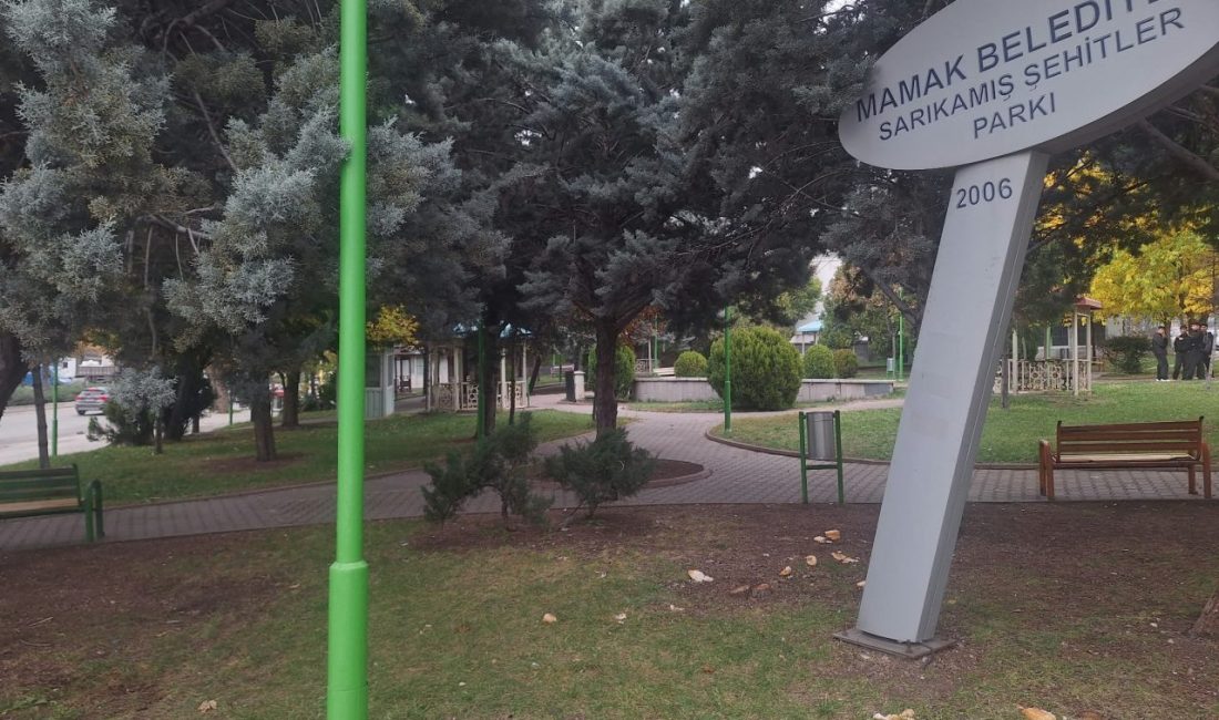 Umutcan ÖREN-Muhammet BAYRAM/ANKARA, – ANKARA’nın Mamak ilçesinde Arda Olgan’ın (14),